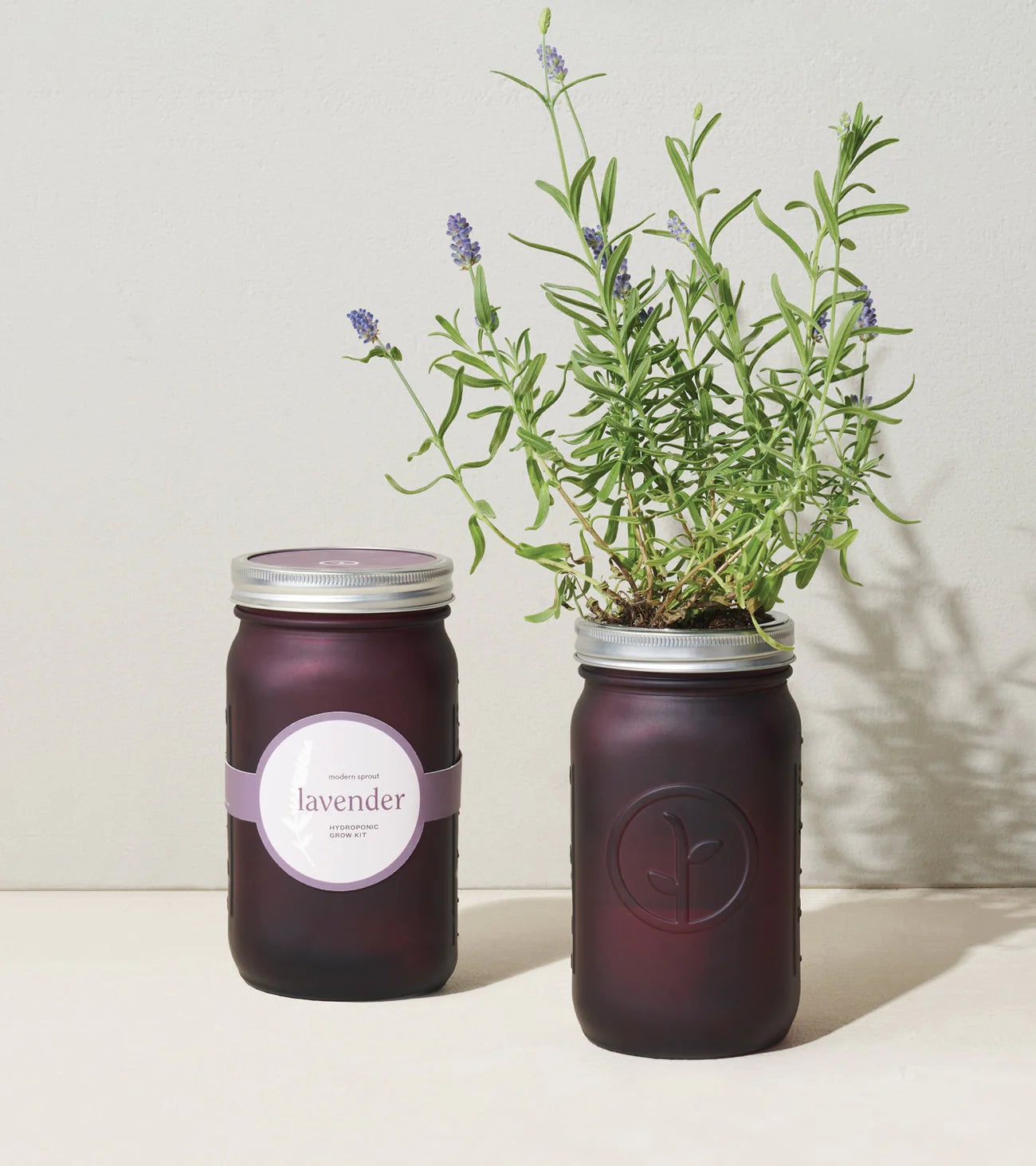 Modern Sprout Garden Jar