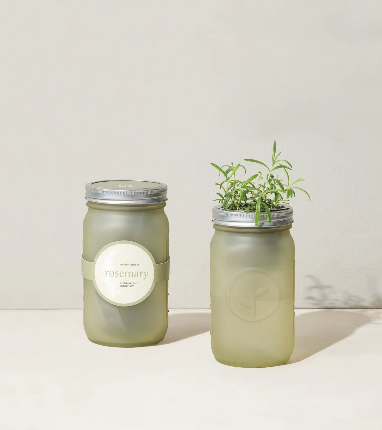 Modern Sprout Garden Jar