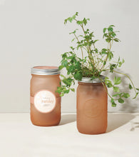 Modern Sprout Garden Jar