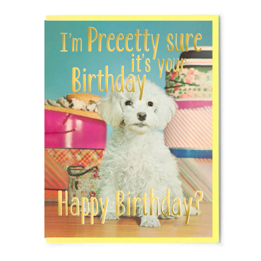 Smitten Kitten Card - Preeetty Sure Happy Birthday?