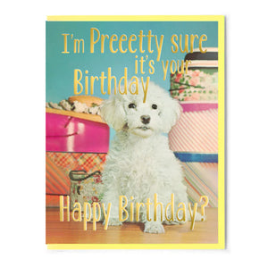 Smitten Kitten Card - Happy Birthday?