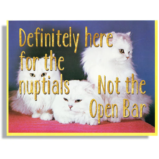 Smitten Kitten Card - Open Bar