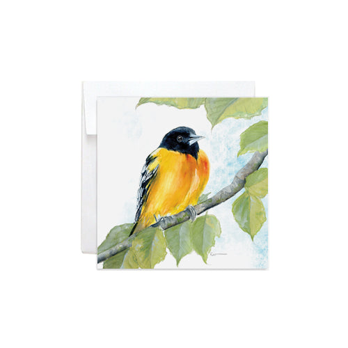 Kat Signature Mini Card - Baltimore Oriole