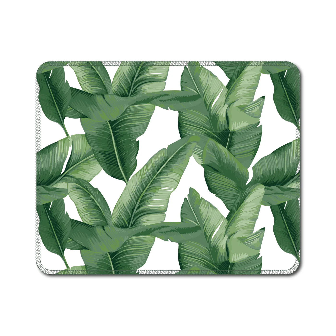 Earthy Notpaper Towels (10 pack)