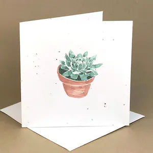 Okku Plantable Card - Birthday Succulent