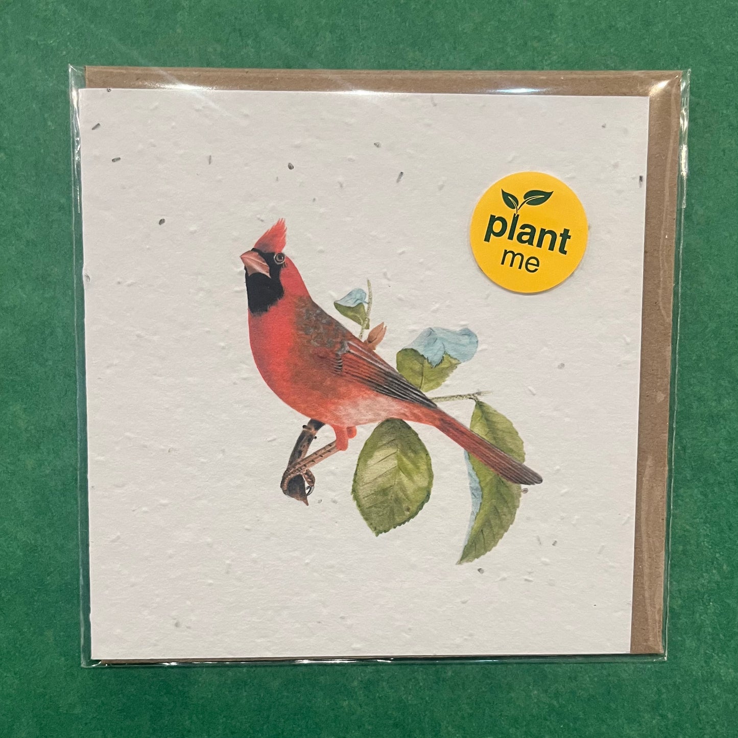 Okku Plantable Card - Cardinal