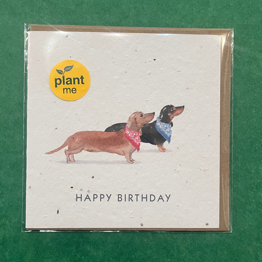 Okku Plantable Card - Birthday Dachsund