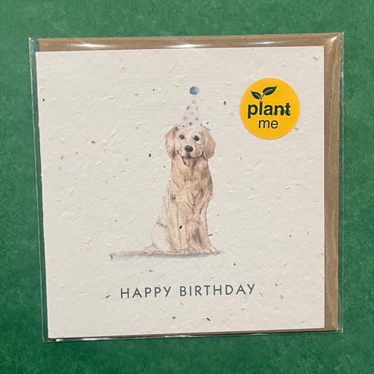 Okku Plantable Card - Birthday Golden Retriever