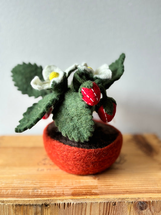 Hamro Strawberry Pot Felted