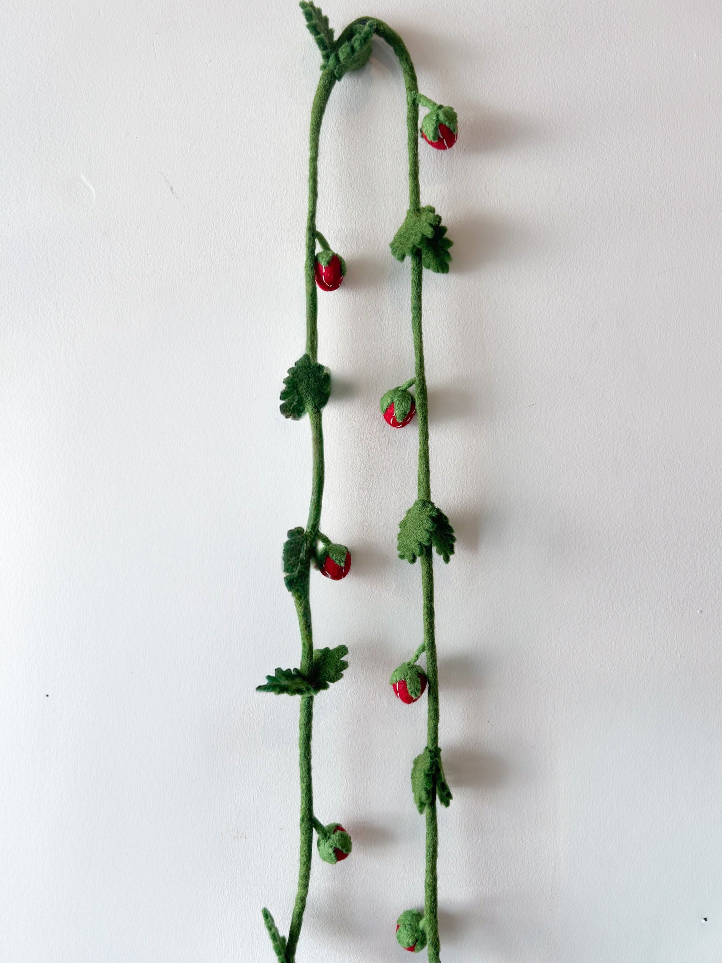 Hamro Felted Garland