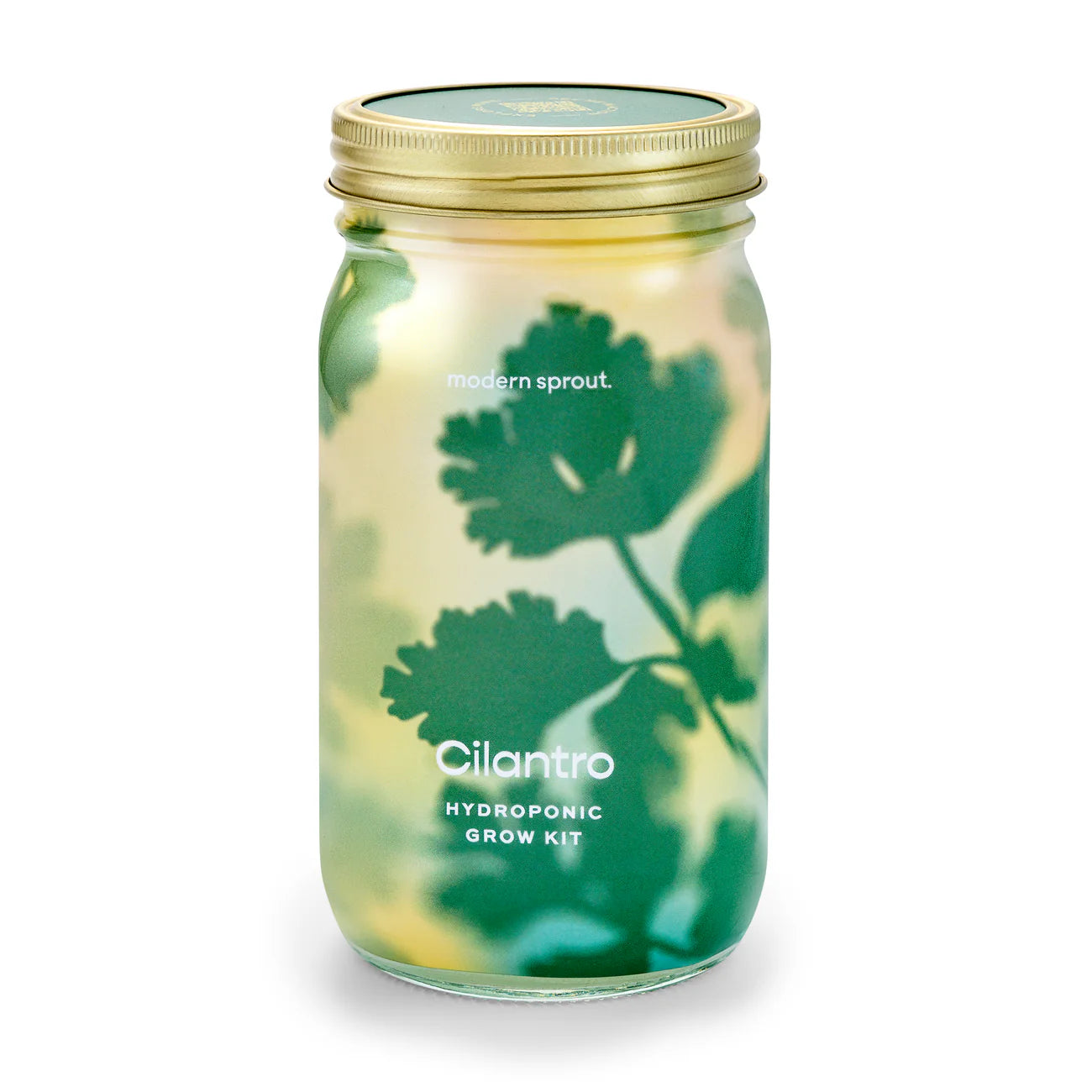 Modern Sprout Garden Jar