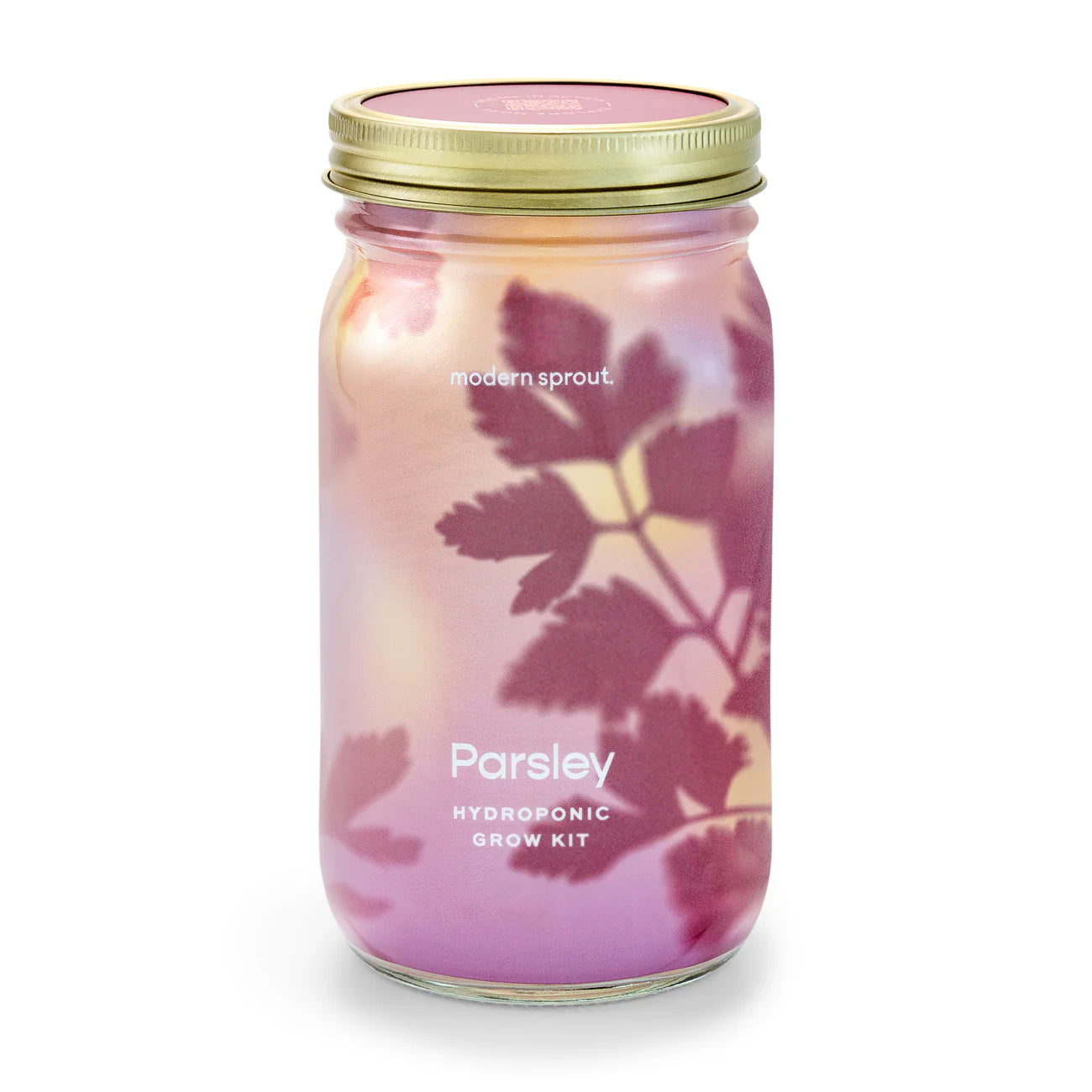 Modern Sprout Garden Jar