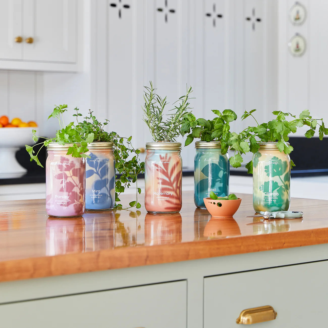 Modern Sprout Garden Jar