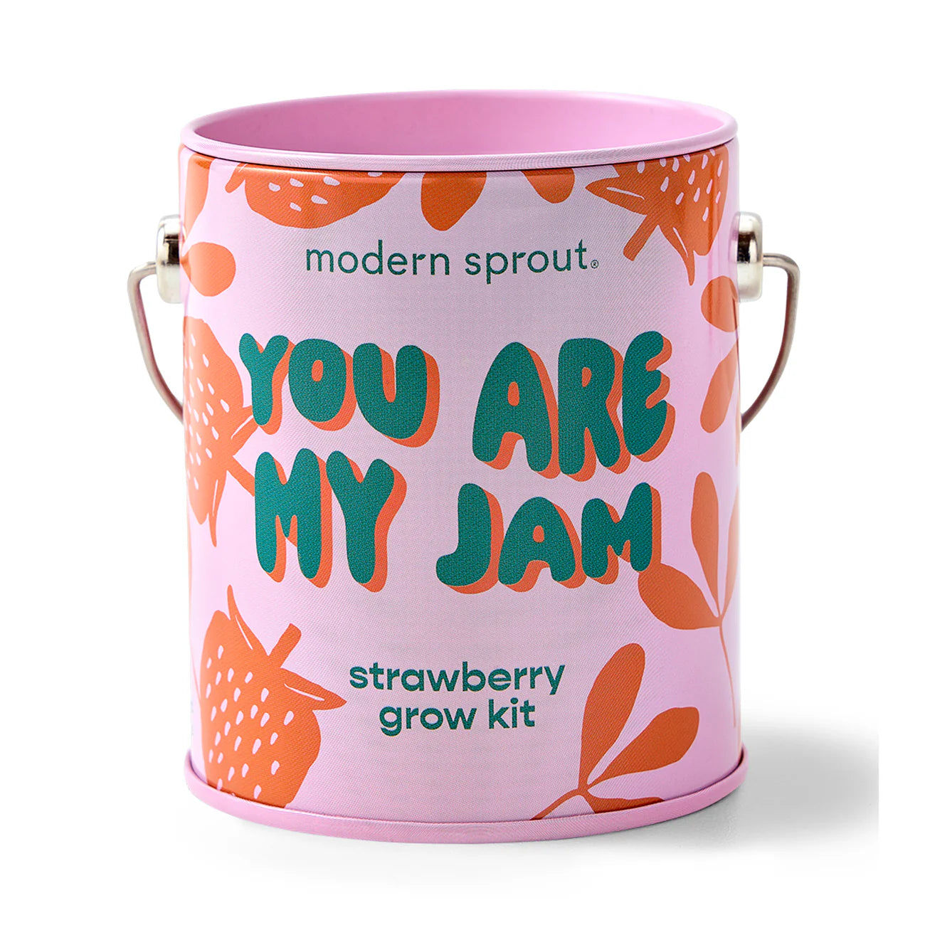 Modern Sprout Mini Grow Kit