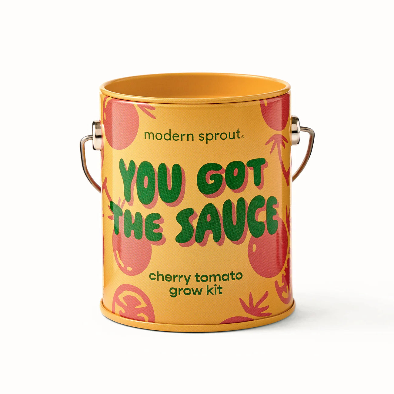Modern Sprout Mini Grow Kit