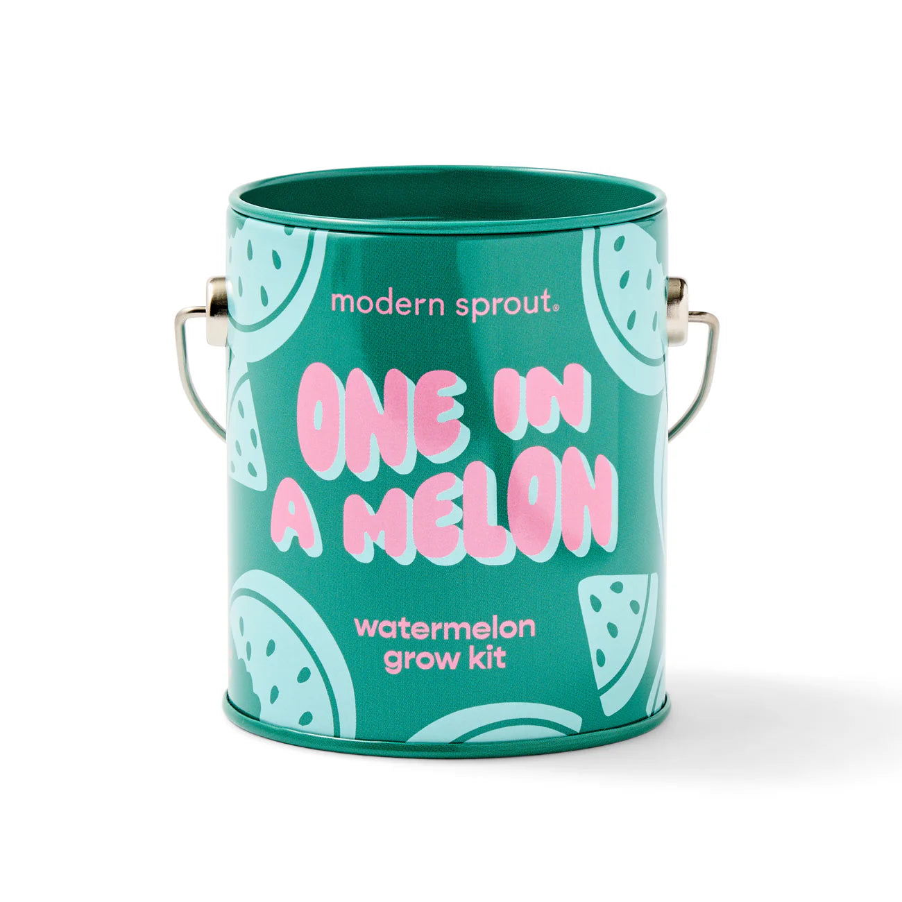 Modern Sprout Mini Grow Kit