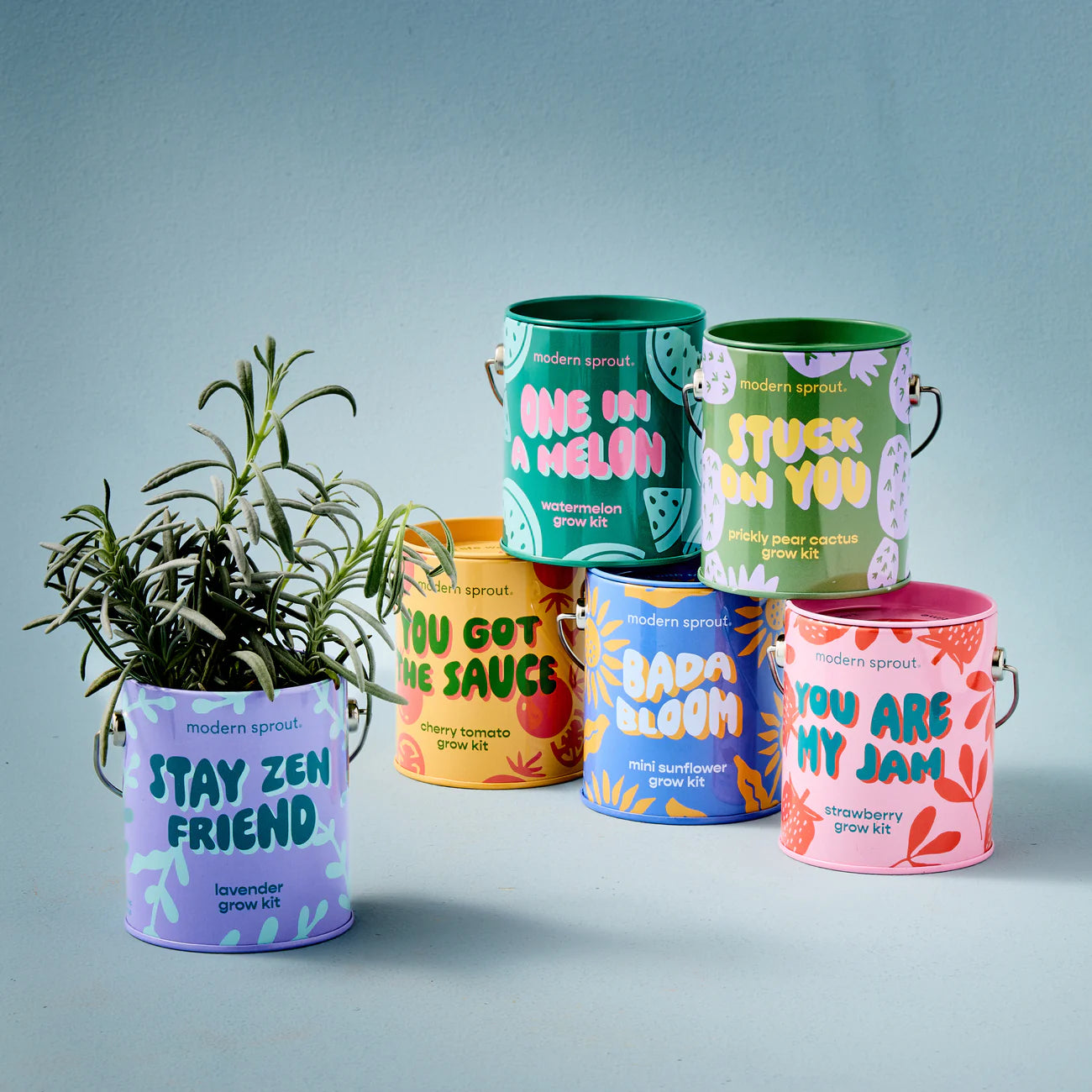 Modern Sprout Mini Grow Kit