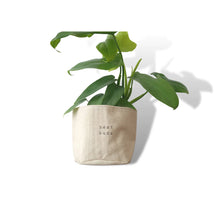 Leaf and Root Co. Planters