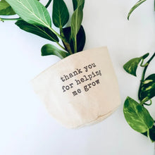 Leaf and Root Co. Planters