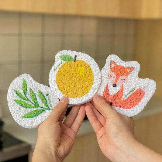 Plantish Plant Based Pop Up Sponge