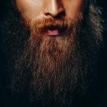 Birch Babe Beard Balm - Woodsy Jay