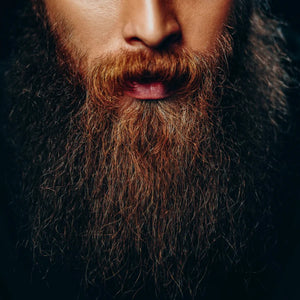 Birch Babe Beard Balm - Woodsy Jay