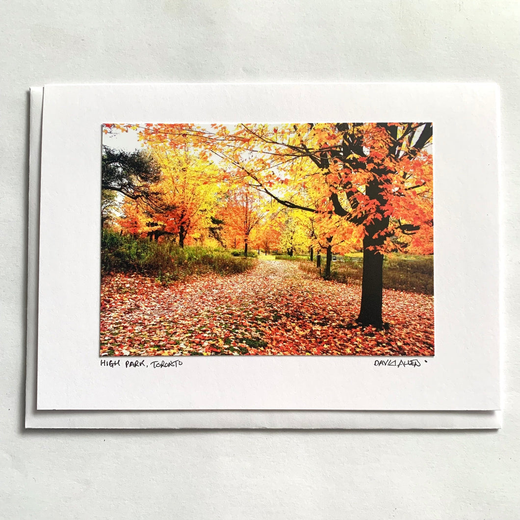 David Allen Photography Card - Fall Forest