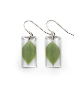 Black Drop Designs Earrings