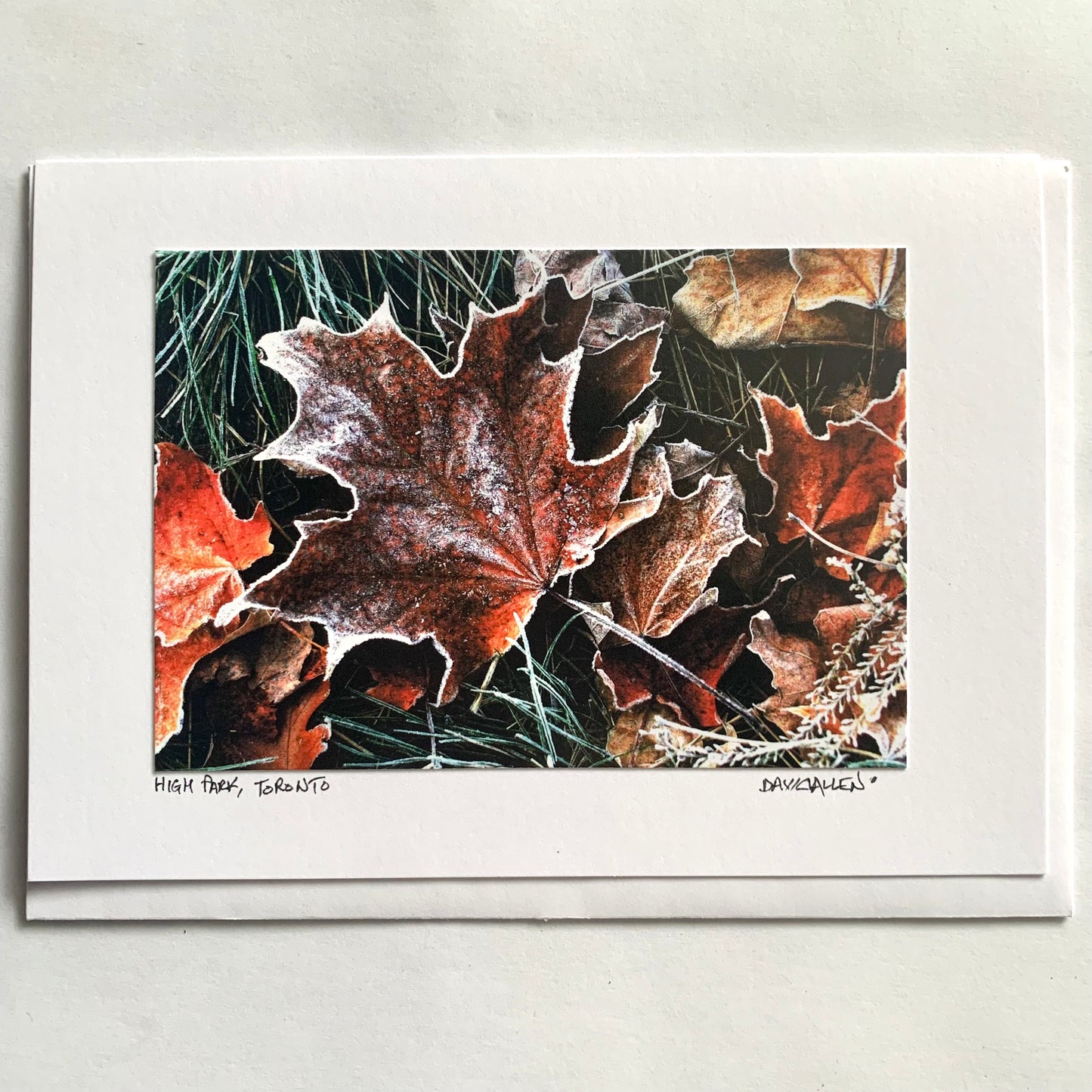 David Allen Photography Card - Leaf