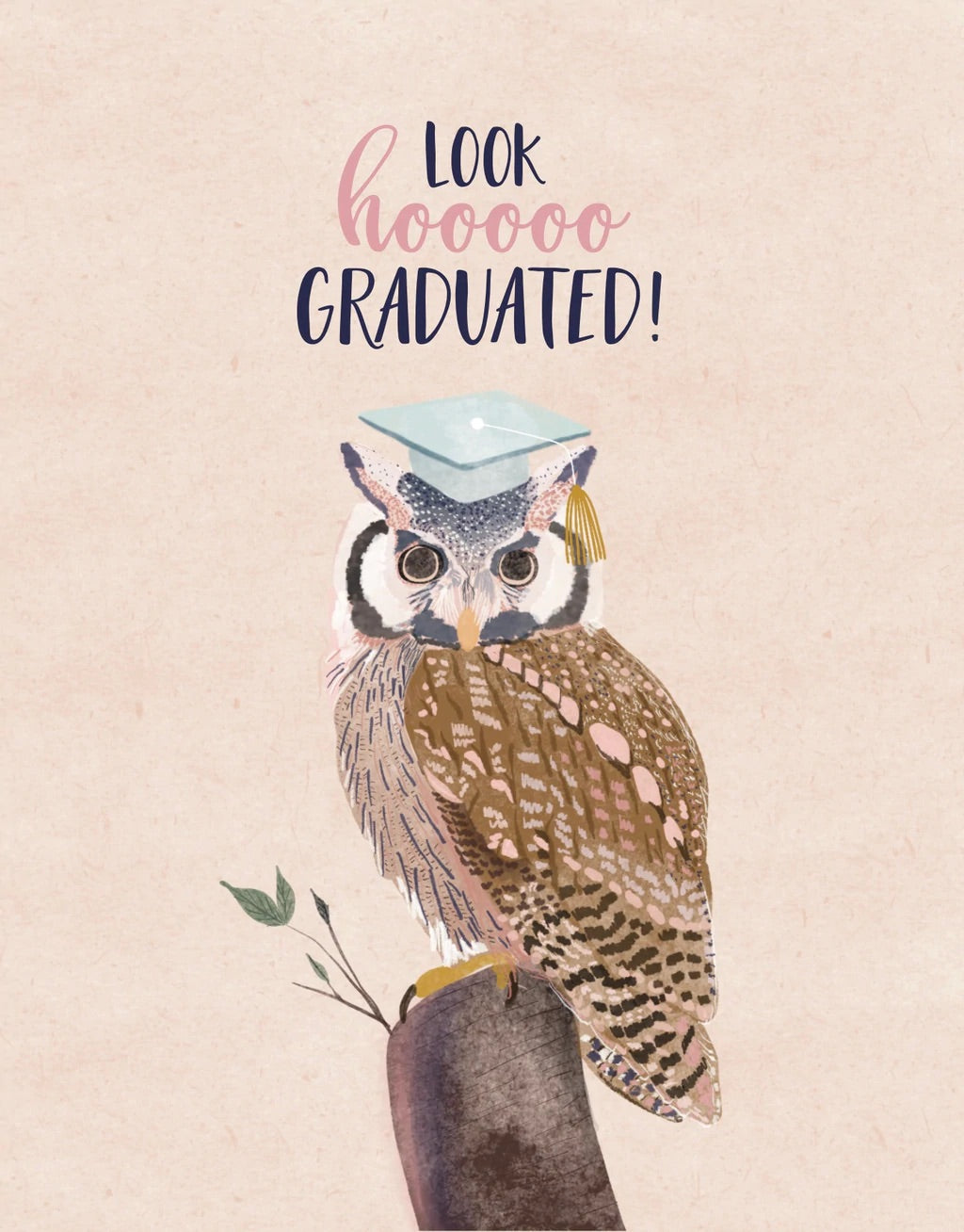 Poplar Paper Card - Look Hoo Graduated