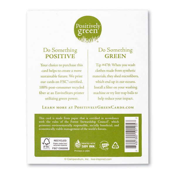 Positively Green Card - Adventure (Milne) - Love/Friendship