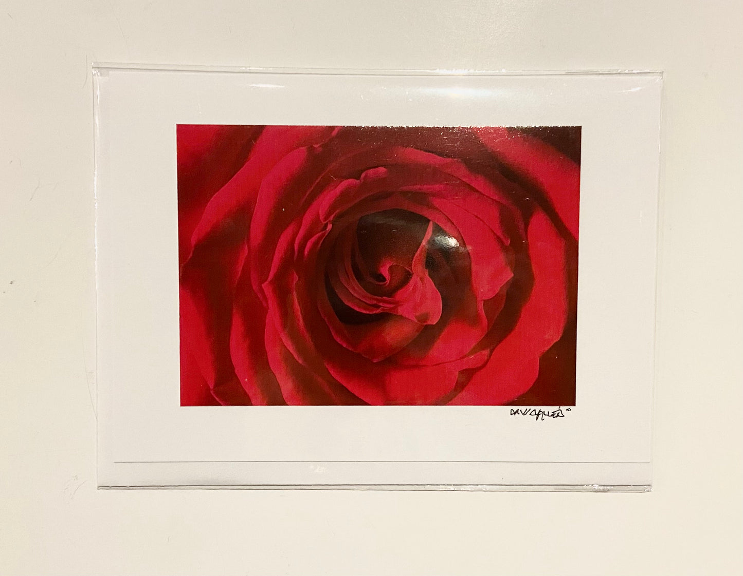 David Allen Photography Card - Red Rose