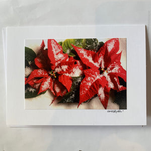David Allen Photography Card - Snowy Poinsettia