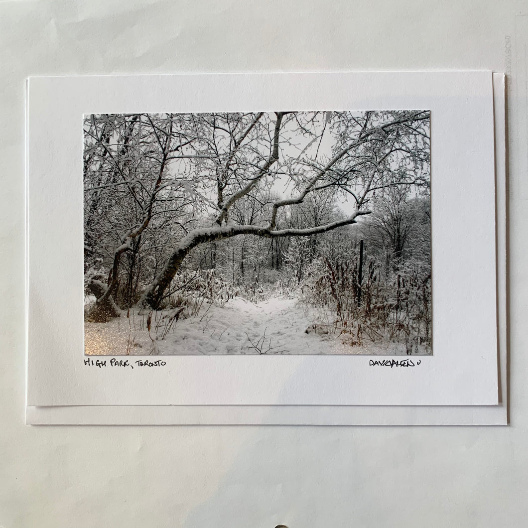David Allen Photography Card - Winter Forest