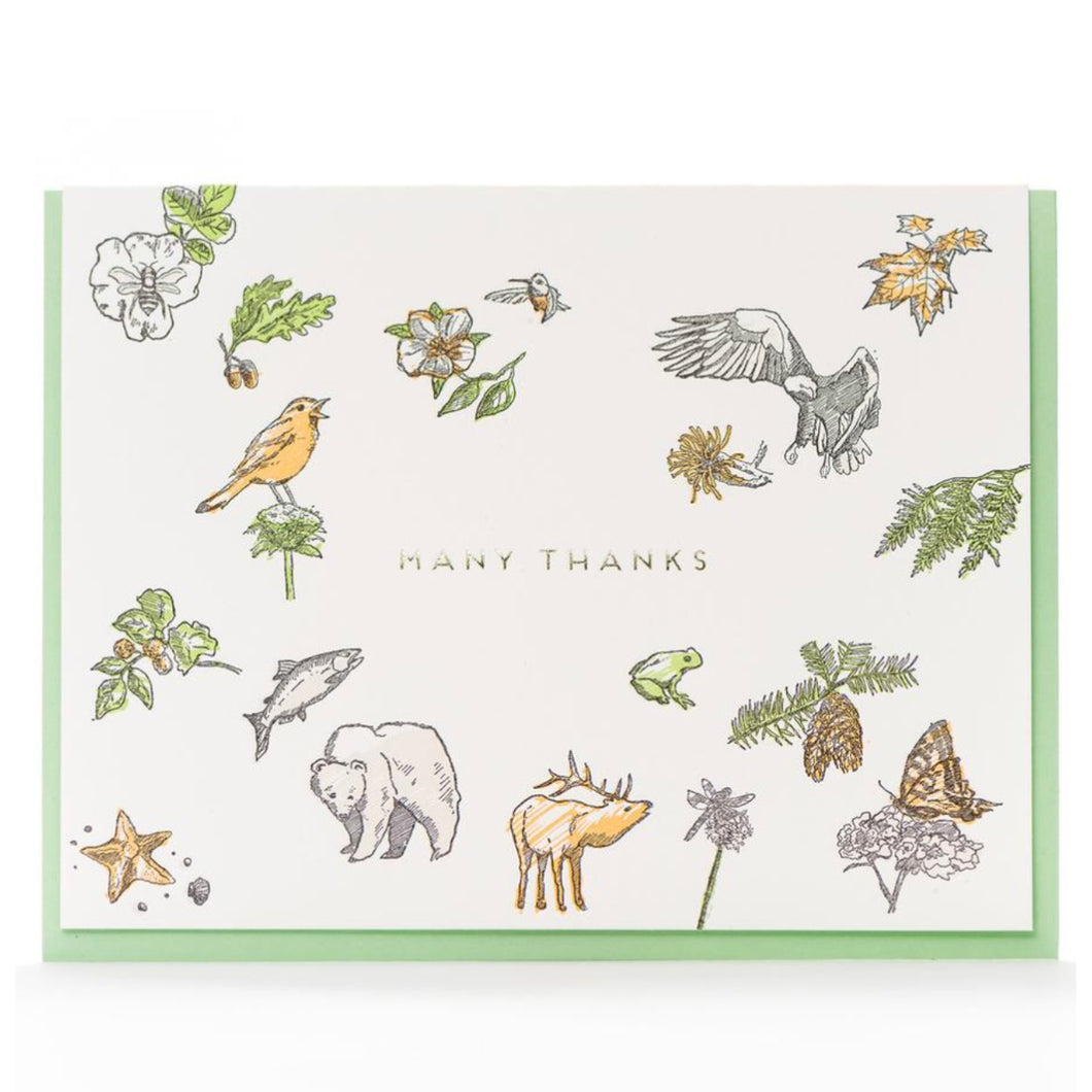 Porchlight Press Card - Many Thanks