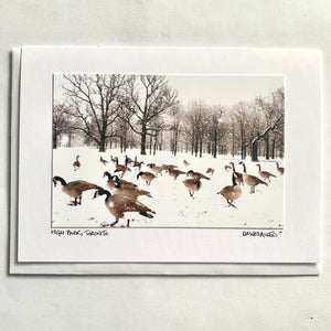 David Allen Photography Card - Geese