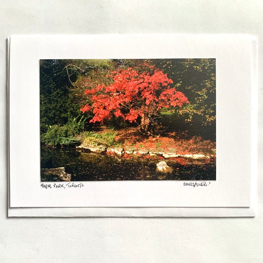 David Allen Photography Card - Red Tree