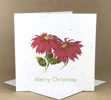Okku Plantable Card - Merry Christmas