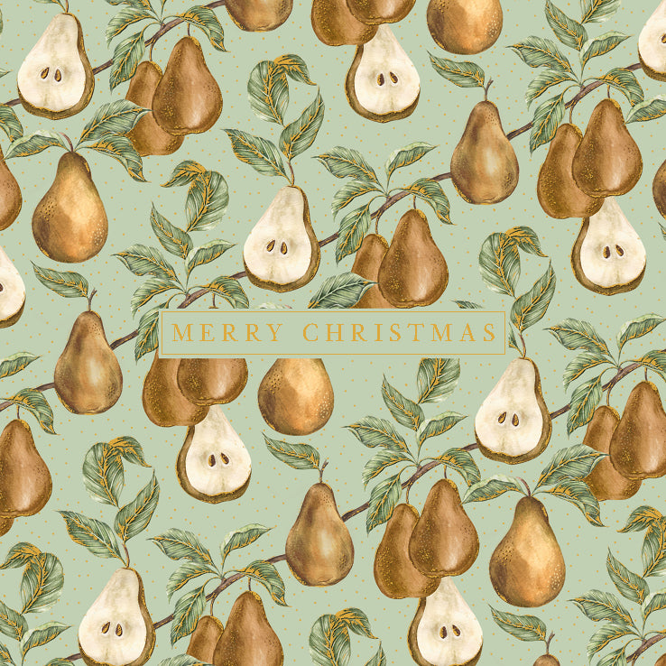 Charity Card Pack of 6- Merry Christmas (Pears)