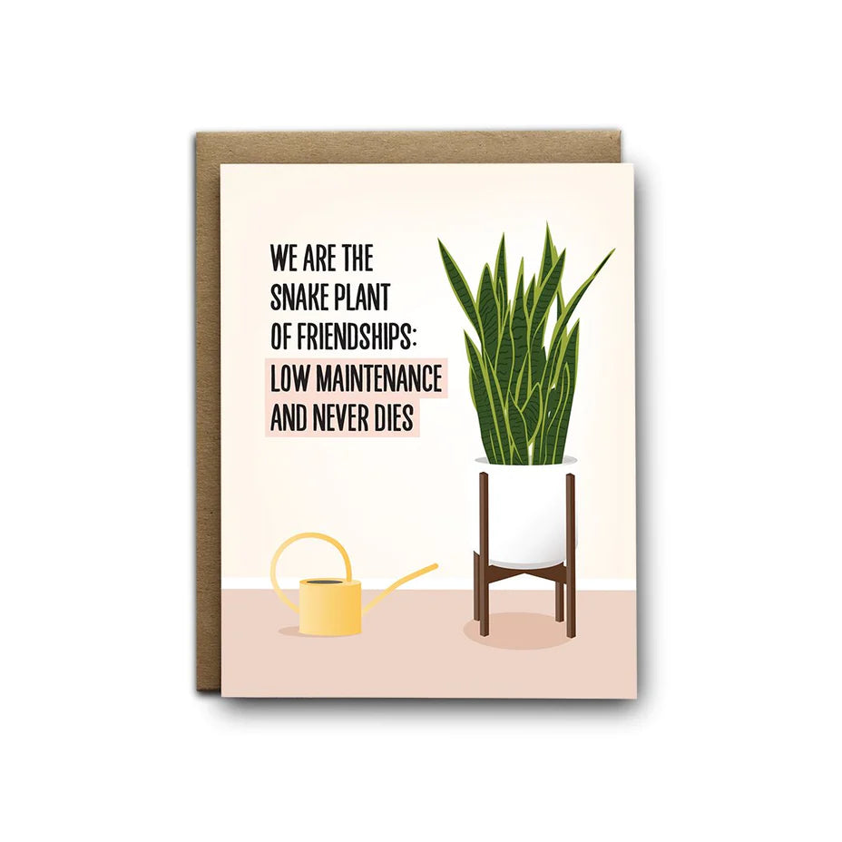 I’ll Know It When I See It - “Snake Plant of Friendships”