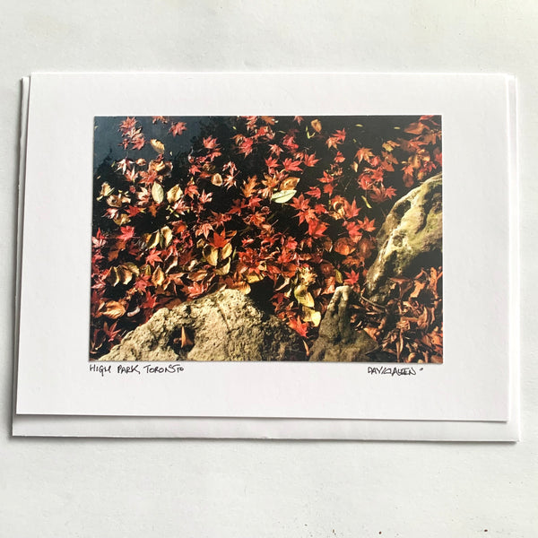 David Allen Photography Card - Rock & Leaves